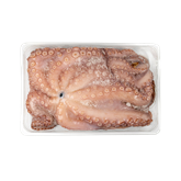 Moluscos e Cefalópodes