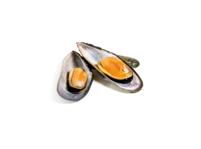 Mexilhao ½ Concha 2030 Pc Kg Nz Cong