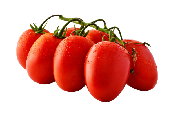 116542 TOMATE CHUCHA