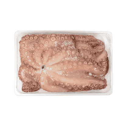 Moluscos e Cefalópodes