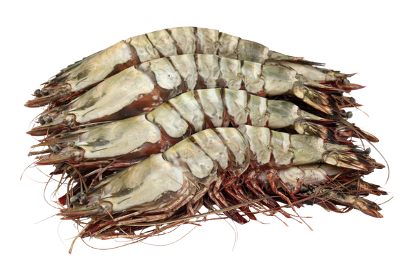 657634 CAMARAO TIGRE 6 8PC CONG BRASMAR EMB 2KG (2)