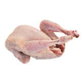 Codornizes