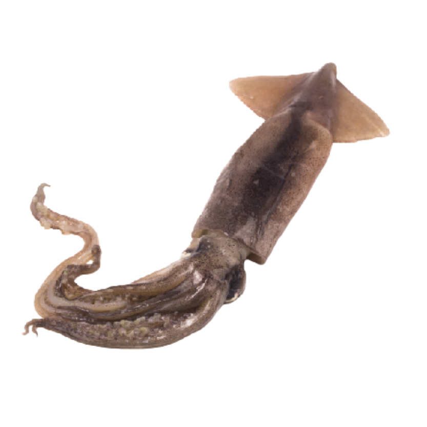 Pota