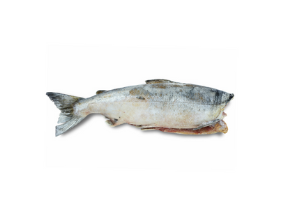 SALMAO SALAR S C EV ESC AP2 5KG CX6 CONG