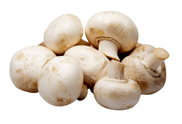 551150 COGUMELOS PARIS FRESCOS CX 3KG