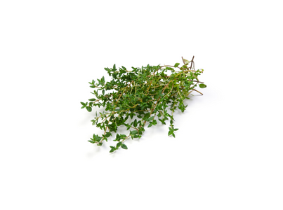 Tomilho 50 Gr Pet Ml