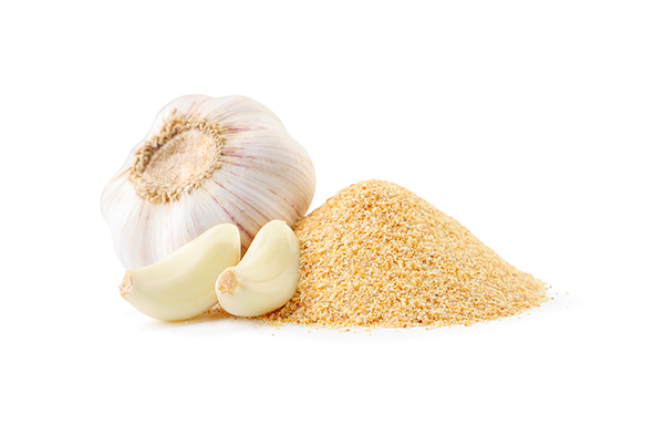 564005 ALHO EM PO PCT KG SOLIBOM