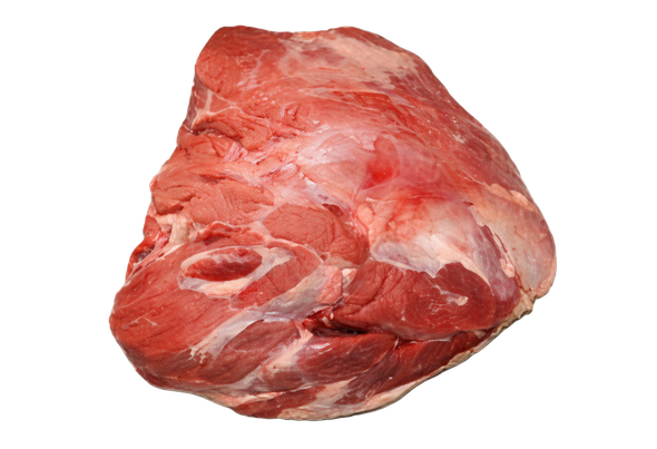 553190 POJADOURO DE BOVINO ADULTO CONG.IMP