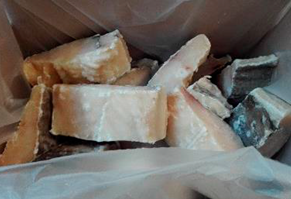 571798 BAC.DEM.LOMBO 300 400 CONG. ULTRAF.LC 2