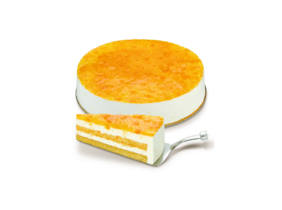 589351 SEMI FRIO MANGA 1500G C.PROF