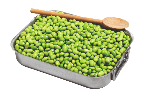 662861 EDAMAME CONG TERRE&MER 1KG