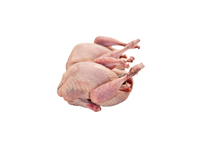 Codornizes 100 Grs Cong.