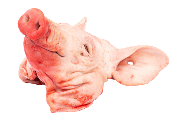 564542 CABECA PORCO CONG.CX 6 KG