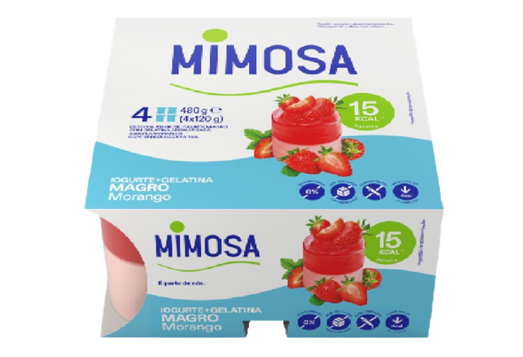 613339 IOG.MAG+GELATINA MORANGO 4X120g MIMOSA
