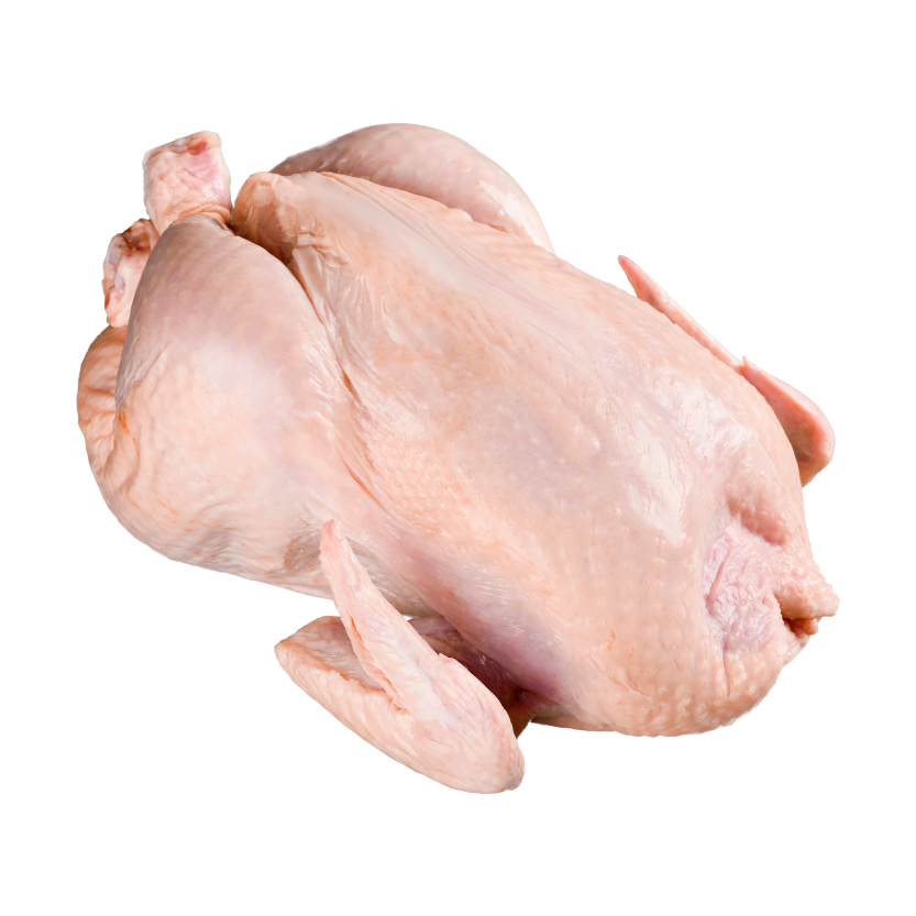 Frango e Galinha