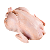 Frango e Galinha