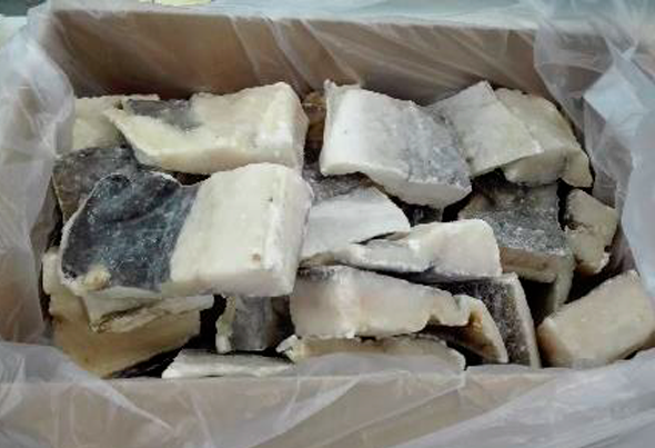 572214 BAC.DEM.CONG.POST MED.250G ULTRAFISH LC 3