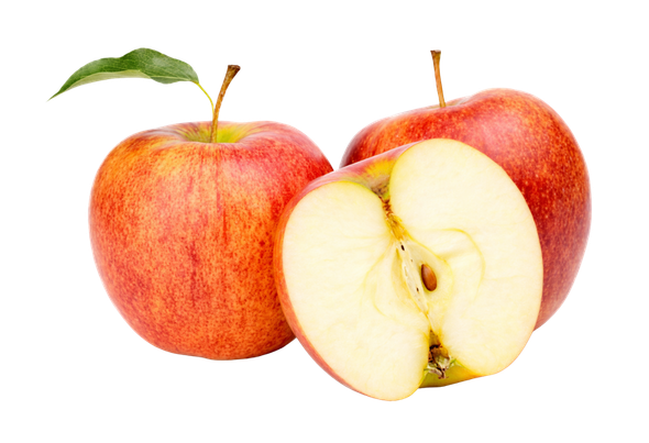 120795 MACA ROYAL GALA 75 80