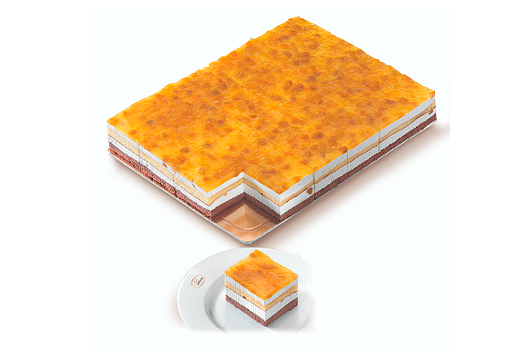 574617 GR.DELICIA MANGA (48 QUAD) 2500G PROF