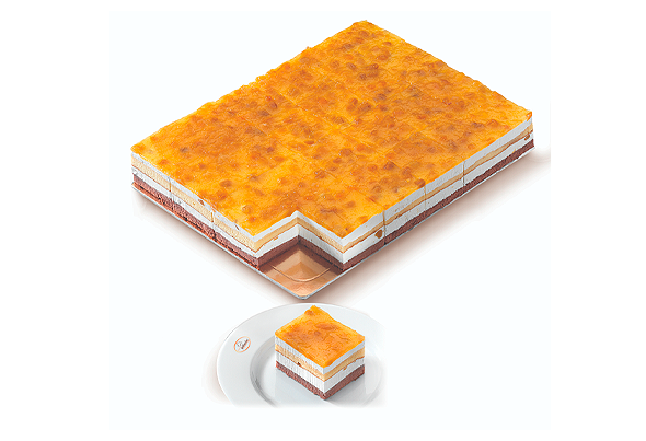 574617 GR.DELICIA MANGA (48 QUAD) 2500G PROF