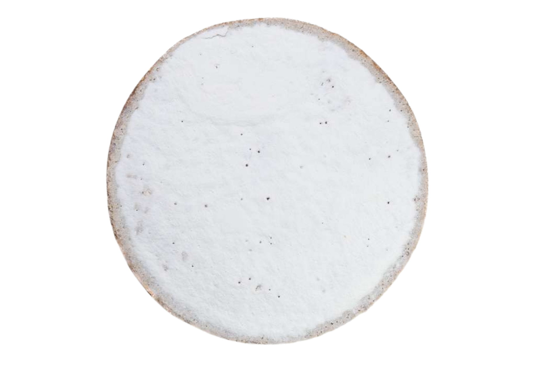 648229 TARTE SANTIAGO 800G QQ