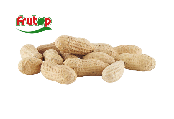 660740 AMENDOIM TORRADO C CASCA FRUTOP 1KG