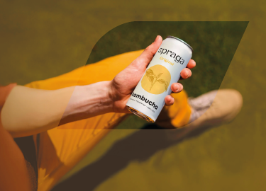 BN Distribuidor Spraga Mobile