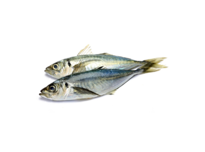 CARAPAU MEDIO CX 3 KG CONG.EUROCHEFE