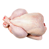 Pato