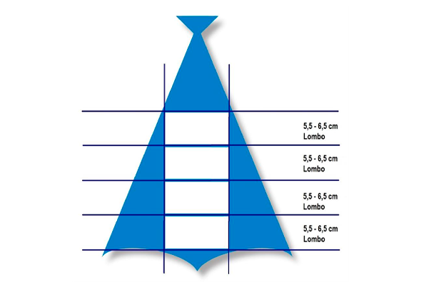 571798 BAC.DEM.LOMBO 300 400 CONG. ULTRAF.LC 3