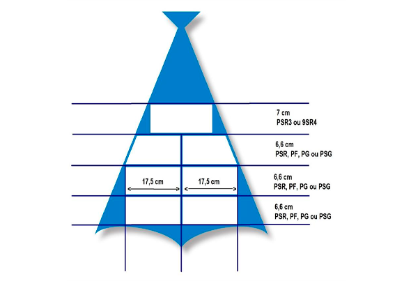 588667 BAC. DEM. CONG. GRIBAL P. EXTRA CX 10KG 2
