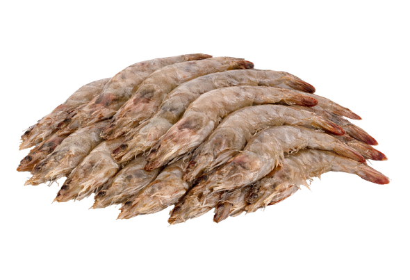 569173 CAMARAO C CABECA 61 70 CONG. ULTRAFISH