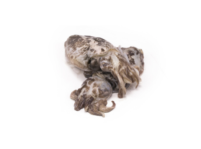 CHOCO SUJO CONG.100 200 GRS