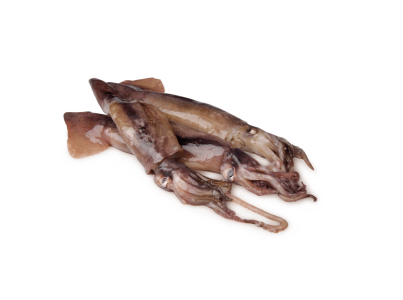 LULA INTEIRA 6/10 PC/KG CONG