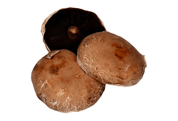 564359 COGUMELOS PORTOBELLO FRESCOS CX 2KG