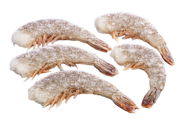 CAMARÃO SEM CABEÇA 61/70 CONGELADO ULTRAFISH