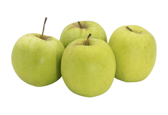 565910 MACA GOLDEN 55 60