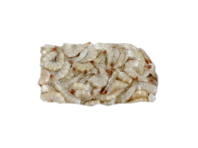 CAMARAO S CABECA 26 30 OCEAN DELIGHT