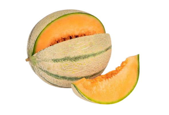 566556 MELOA CANTALOUPE