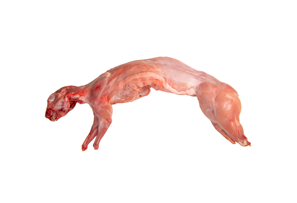 COELHO 1,0/1,7KG CONGELADO