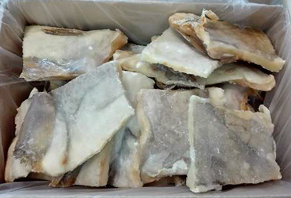 567124 BAC. DEM.POSTA FINA CONG.CX5KG ULTRAFISH 2