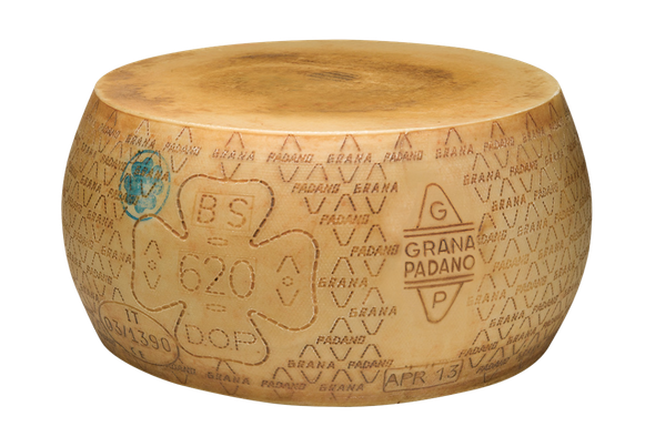 565828 GRANAROLO GRANA PADANO FORME