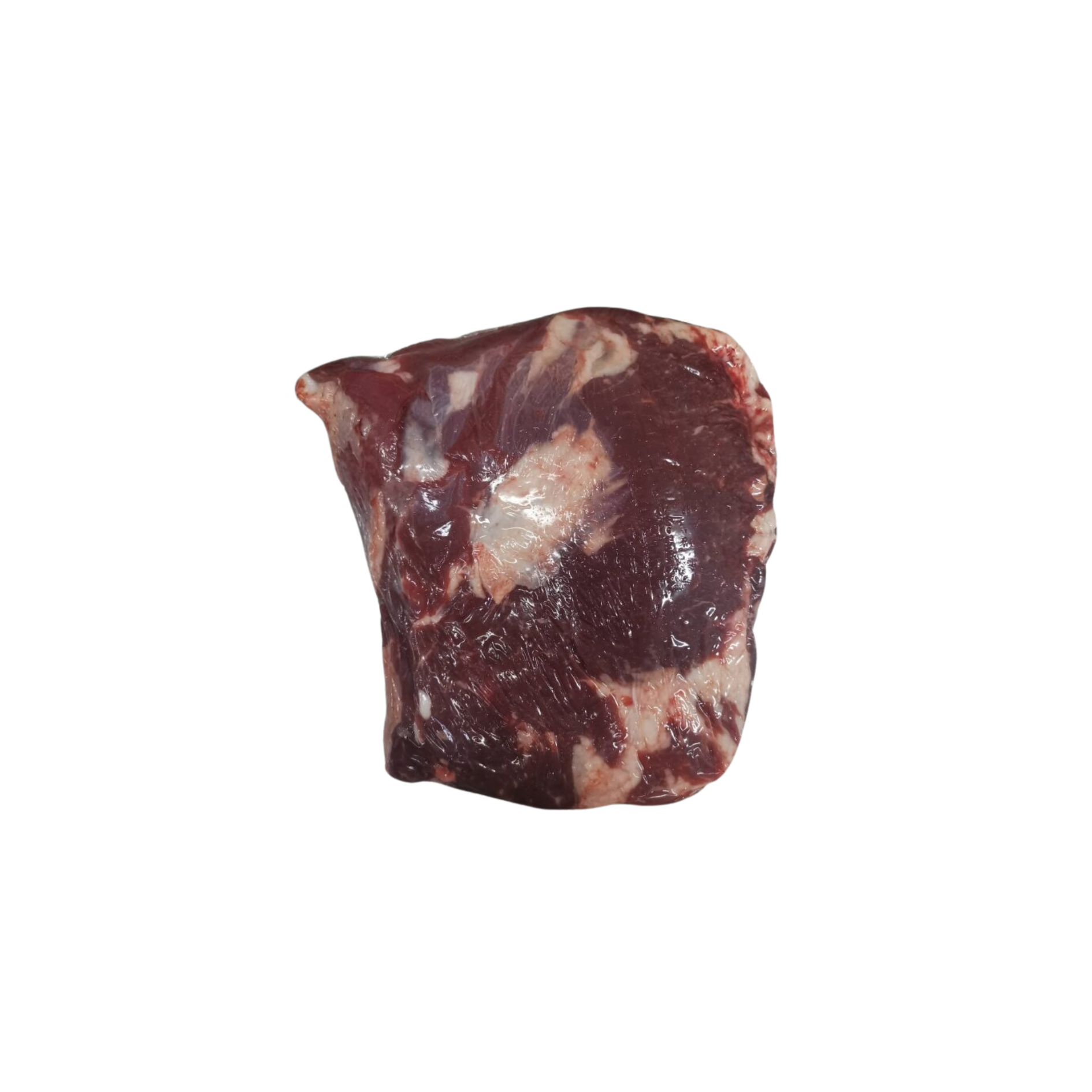 652080 AUTENTICO ACEM COMPRIDO NOVILHO CONG (2)