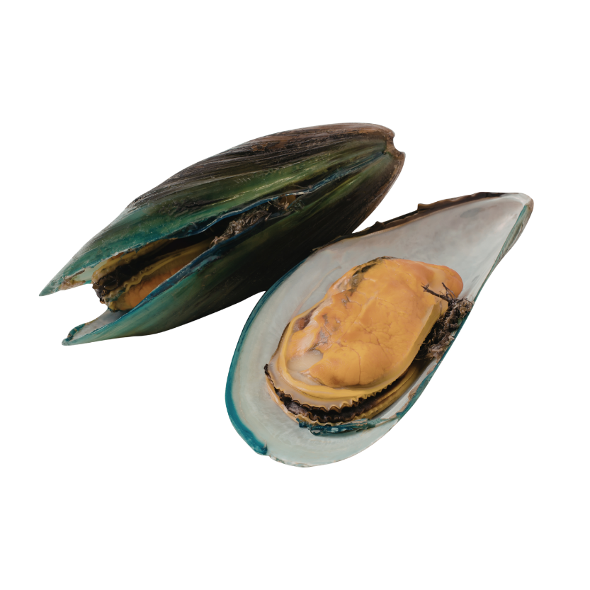 Outros Mariscos