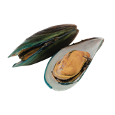 Outros Mariscos