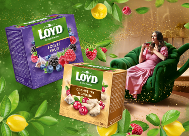 BAN Loyd Mobile 375X270 2026 10