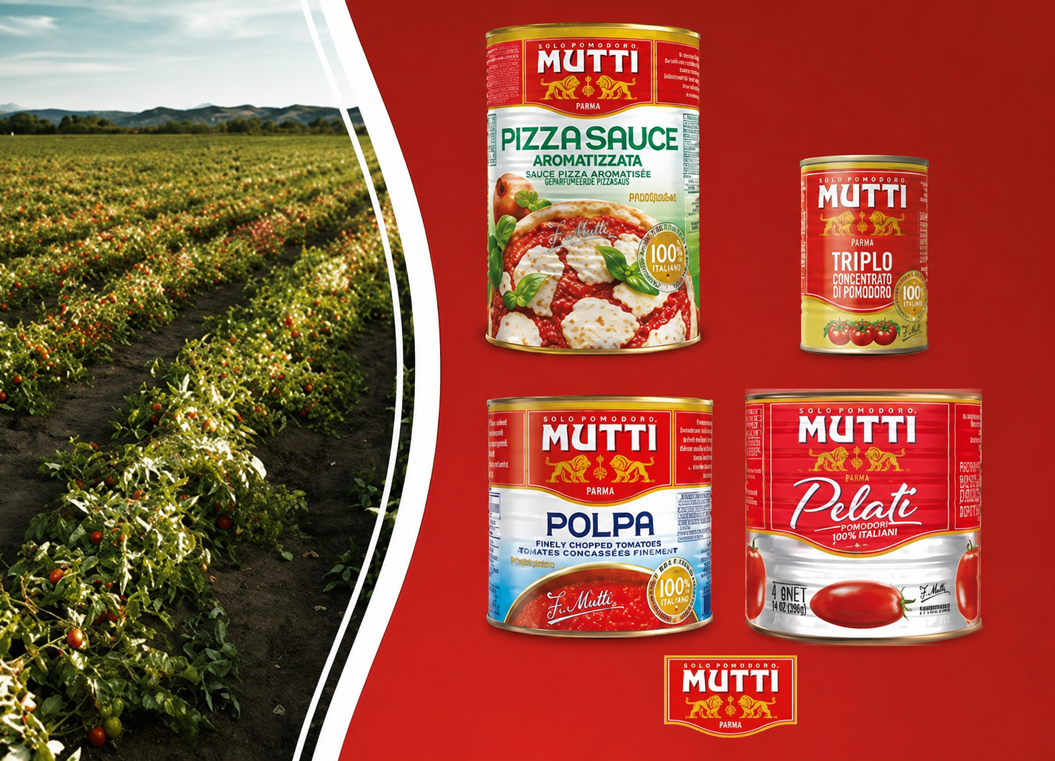 Mutti Bn Fornecedor Polpa Tomate (1)