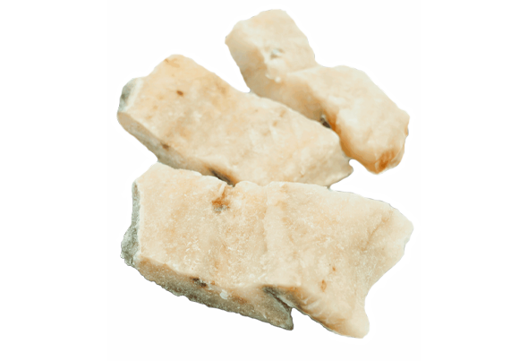 655427 BAC DEM PST MED 200G CNG BOMPORTO PL CX6