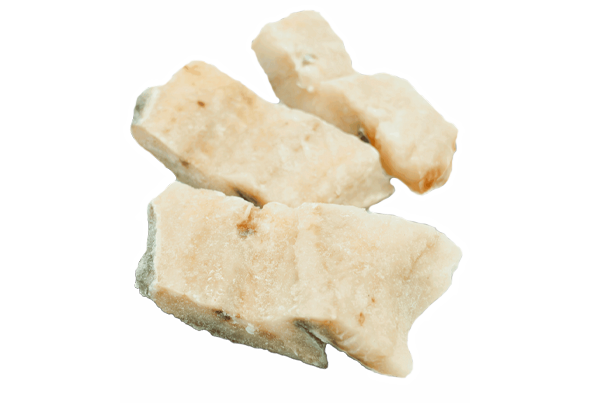 655427 BAC DEM PST MED 200G CNG BOMPORTO PL CX6