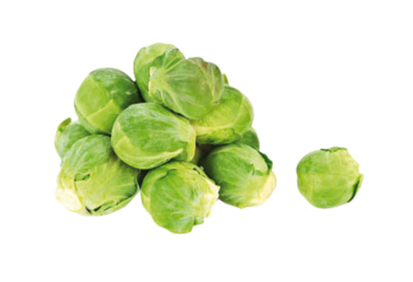 662940 COUVE BRUXELAS CONG EUROCHEFE 2.5KG